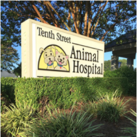 Tenth Street Animal Hospital