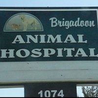 Brigadoon Animal Hospital