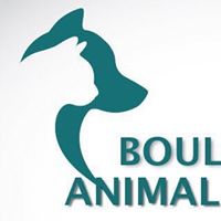 Boulevard Animal Hospital