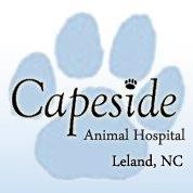 Capeside Animal Hospital