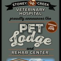 Stoney Creek Pet Lodge & Rehabilitation Center