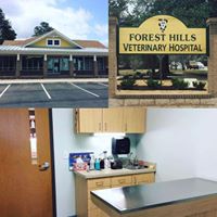 Forest Hills Veterinary Hospital