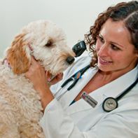 Crutchfield Mobile Veterinarian Services