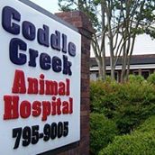 Coddle Creek Animal Hospital