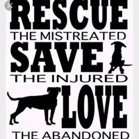 The Animal Rescue Team of Johnston County NC- Compassion in Action