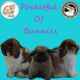 Pocketful Of Bunnies