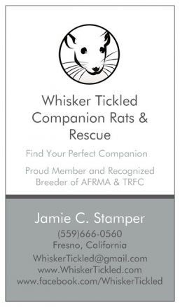 Whisker Tickled Companion Rats & Rescue