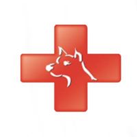 Affordable Animal Hospital Los Angeles