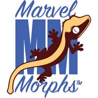 Marvel Morphs