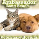 Ambassador Long Beach Veterinary Hospital