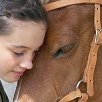 Dream Catcher of L.A. Therapeutic Riding Centers