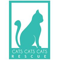 Cats cats cats rescue