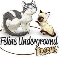 Feline Underground Rescue