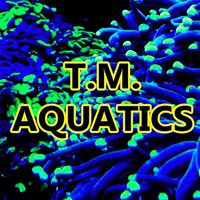 Thomas Maher Aquatics