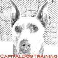 Capital Dog Training