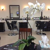 Yale Barber Spa