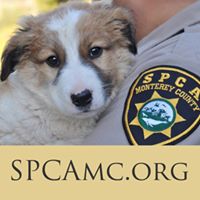 The SPCA for Monterey County