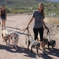 Balancing Paws Phoenix Dog Training