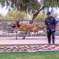 DESERT SKY K9 ALL BREED DOG TRAINING / BOARDING