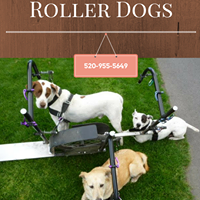 Roller Dogs