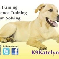 Tempe dog training