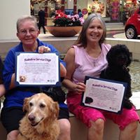 Rainbow Service Dogs