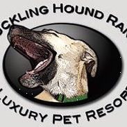 Chuckling Hound Ranch Luxury Pet Resort