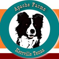 Apache Farms Pet Resort