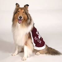 Texas A&M Veterinary Medical Teaching Hospital