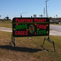 Pampered Parrot Tx