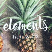 Elements Hair & Co.