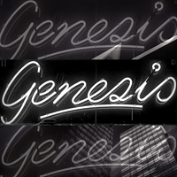 Genesis Hair