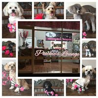 Poochie’s Lounge Grooming Salon & Home Pet Care