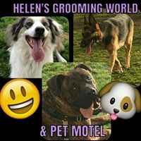 Helens Grooming World and Pet Motel