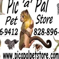 Pic a Pal Pet Store