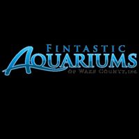 Fintastic Aquariums of Wake County