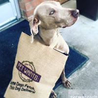 Pet Wants Charlotte: The Urban Feed Store