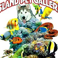 Island Pet Gallery