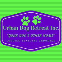 Urban Dog Retreat at Biltmore Forest