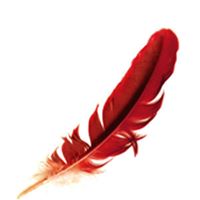 The Red Feather Salon