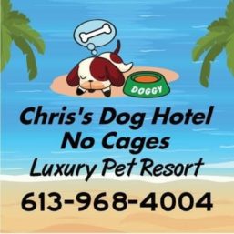 Chris’s Dog Hotel No Cages Luxury Pet Resort